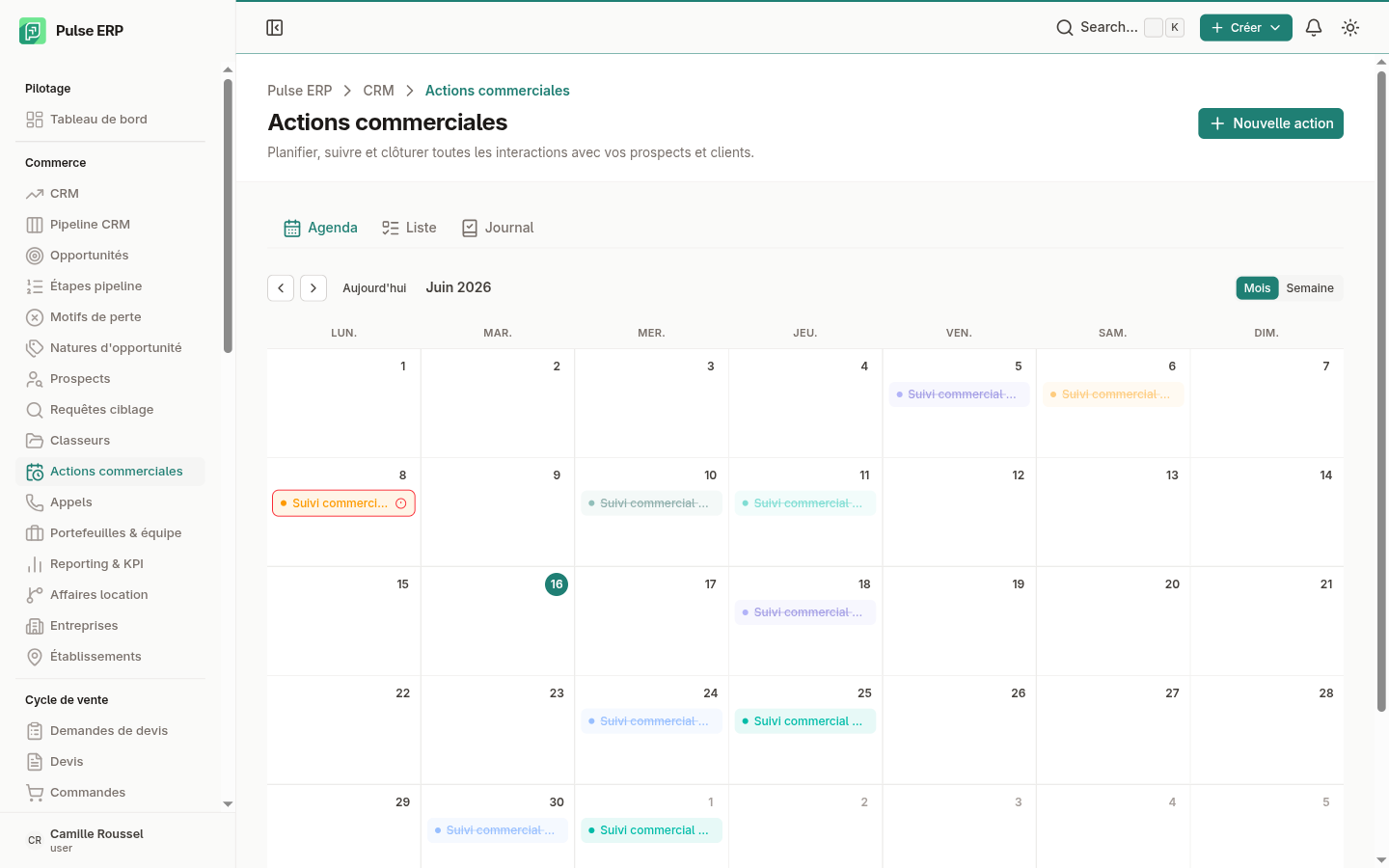 Calendrier des actions — vue mensuelle par type